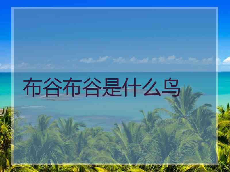 布谷布谷是什么鸟 布谷布谷是什么鸟