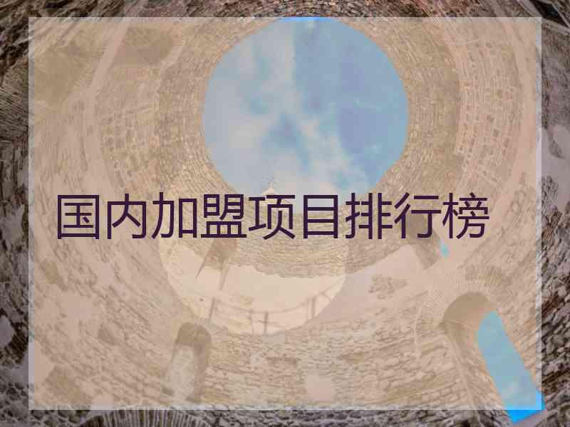 国内加盟项目排行榜