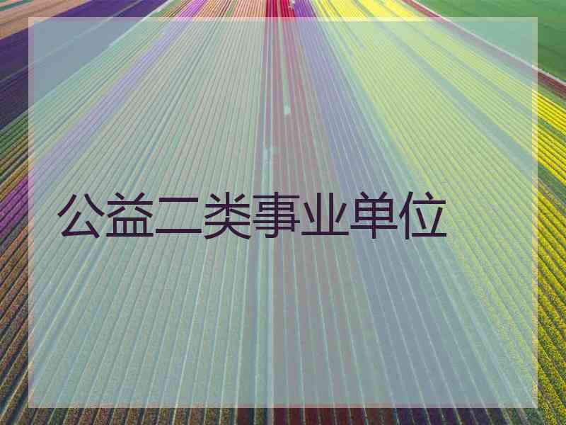 公益二类事业单位