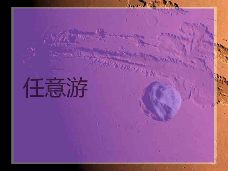 任意游