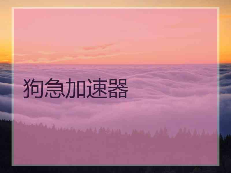 狗急加速器