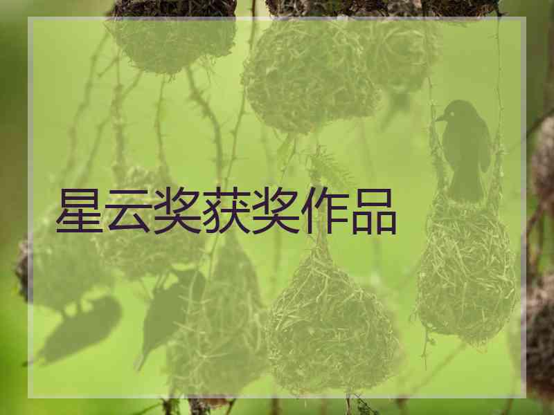 星云奖获奖作品
