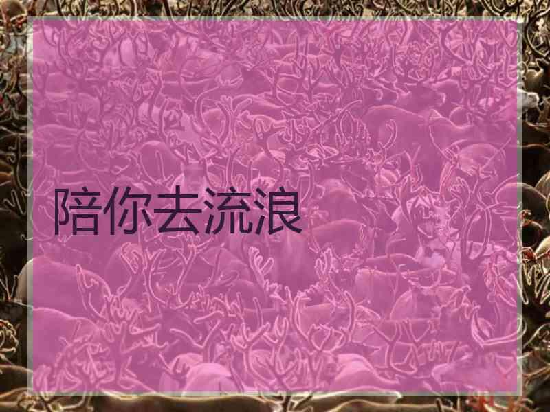 陪你去流浪