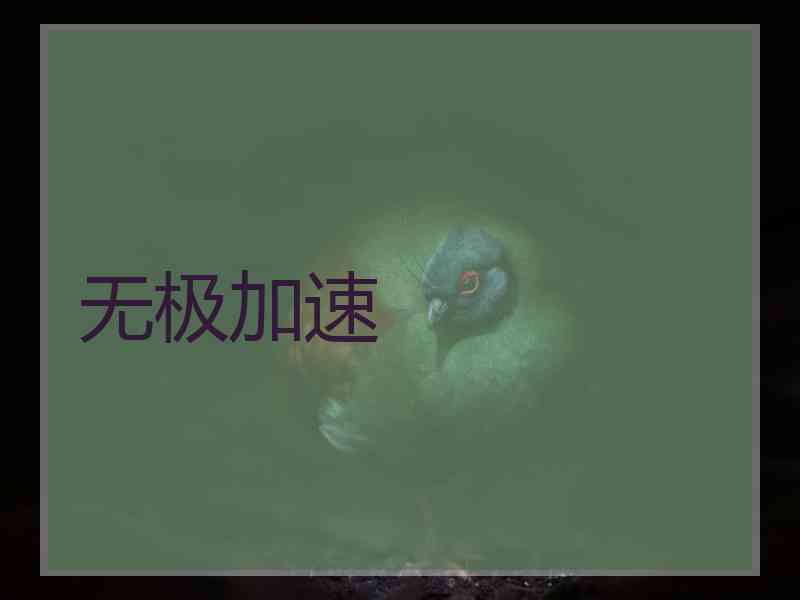无极加速