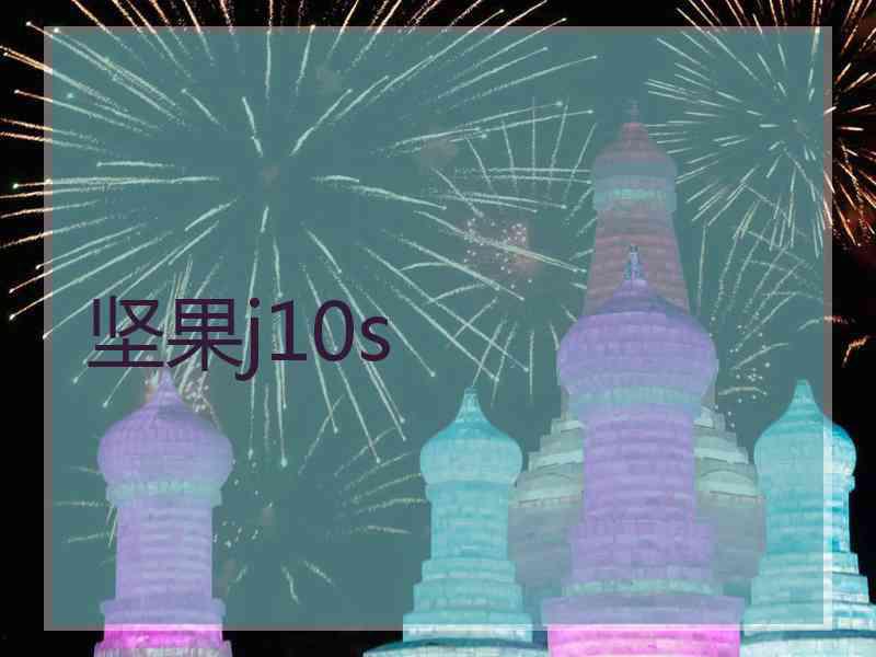 坚果j10s