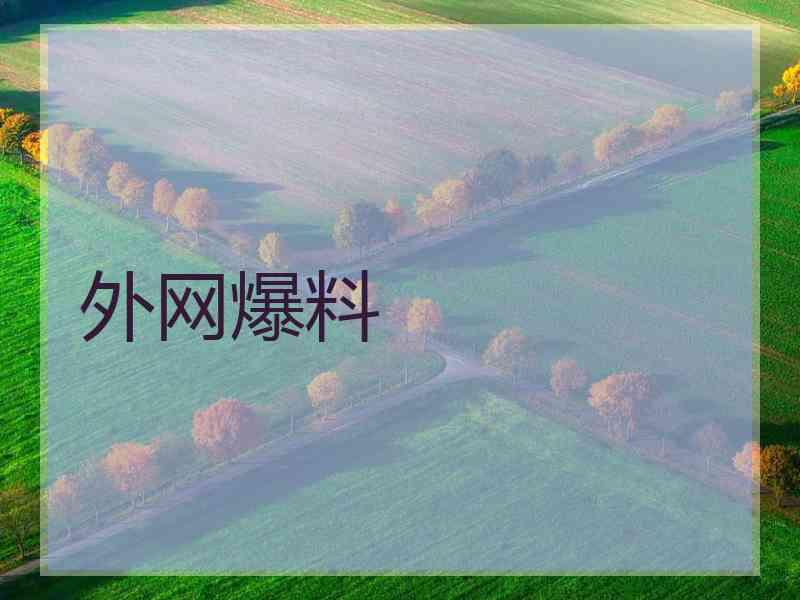 外网爆料