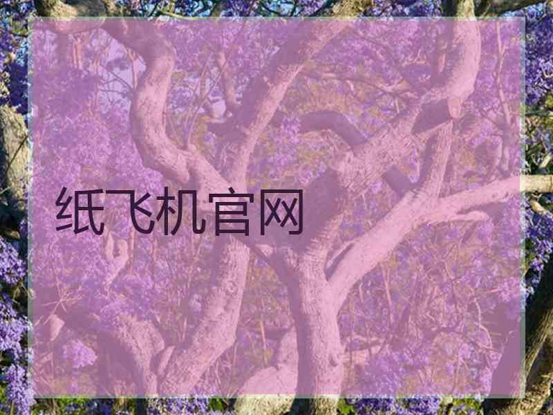纸飞机官网