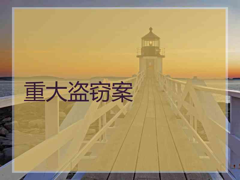 重大盗窃案