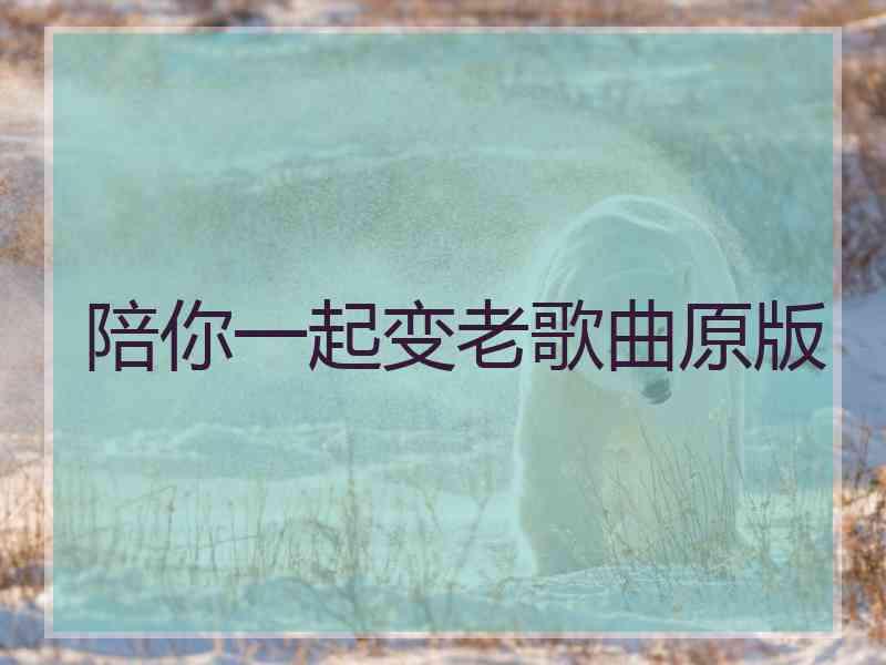 陪你一起变老歌曲原版
