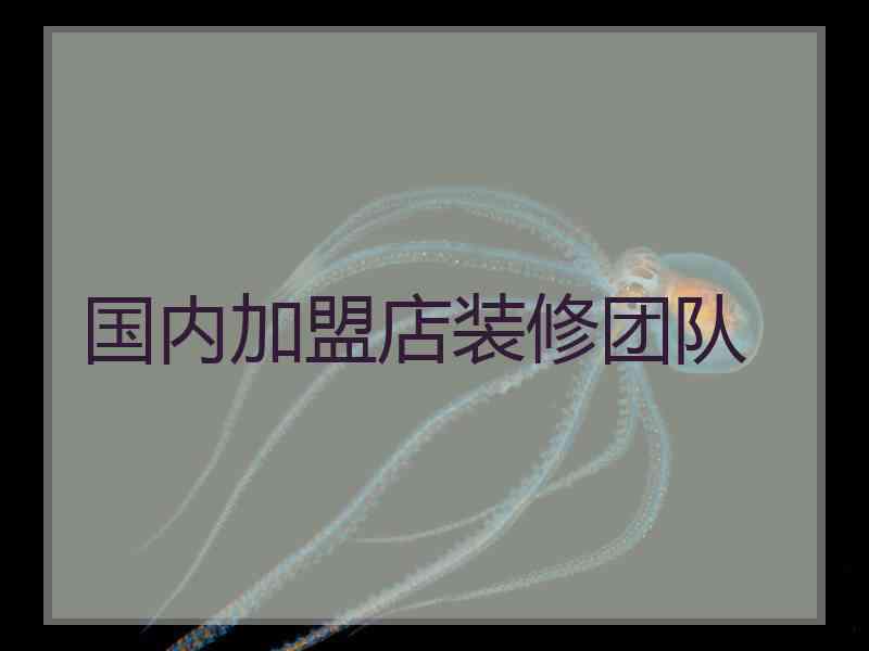 国内加盟店装修团队