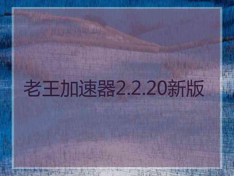 老王加速器2.2.20新版