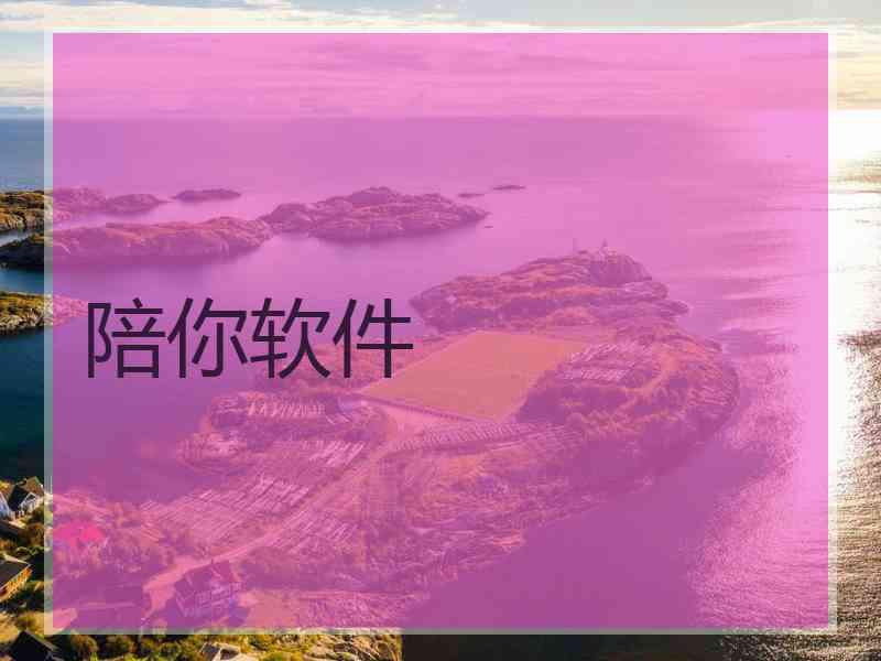 陪你软件