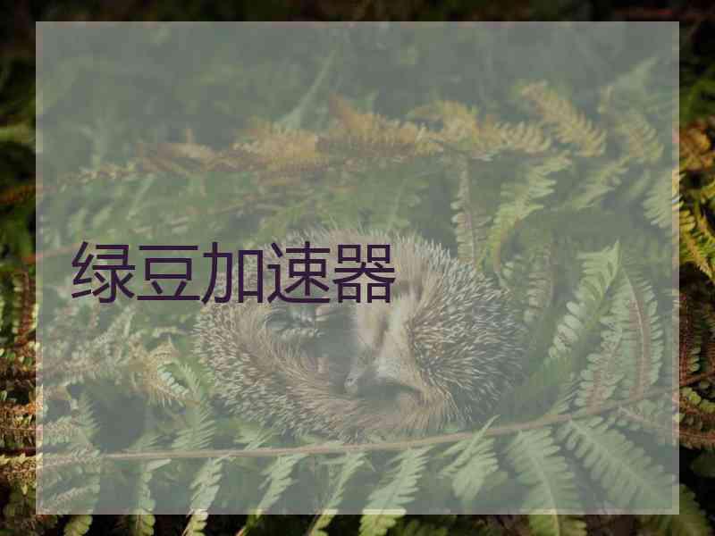 绿豆加速器