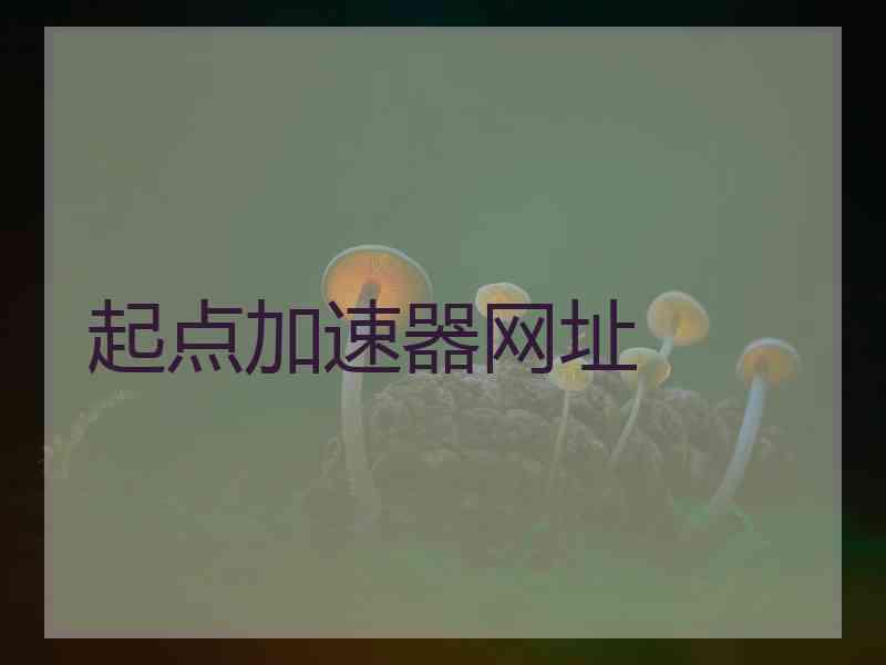起点加速器网址