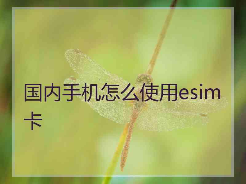 国内手机怎么使用esim卡