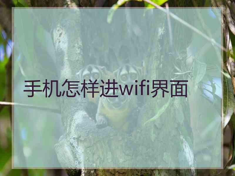 手机怎样进wifi界面