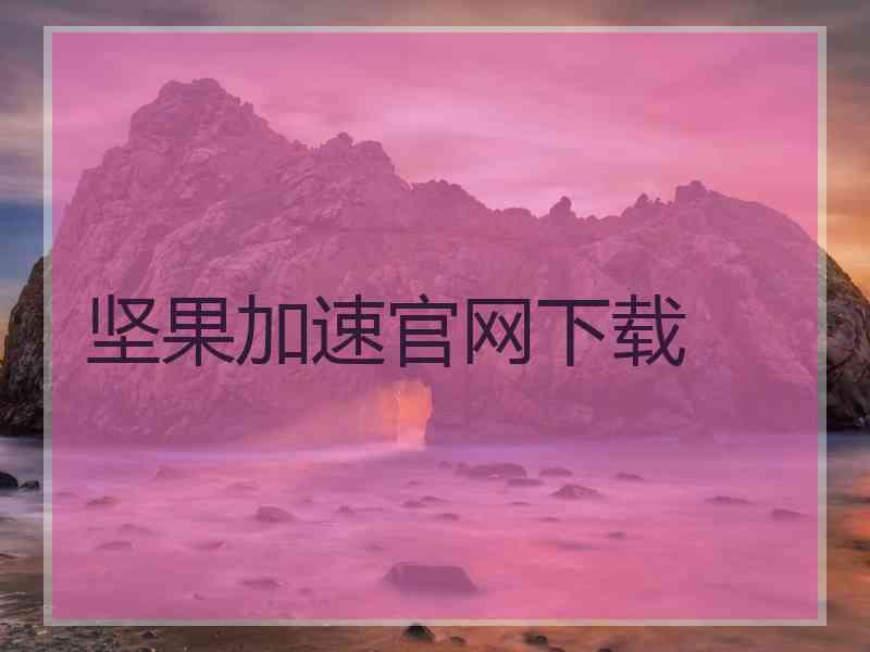 坚果加速官网下载