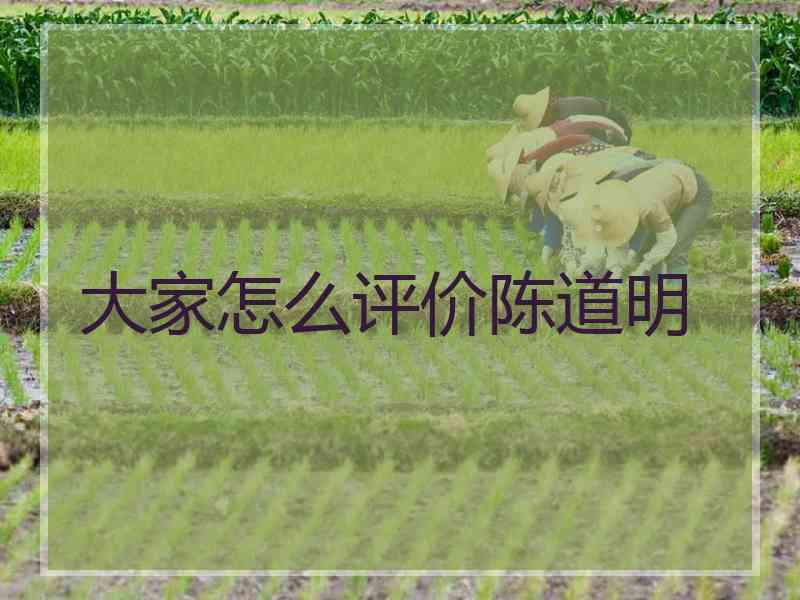 大家怎么评价陈道明
