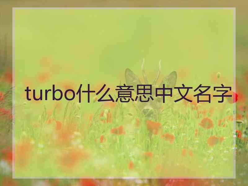 turbo什么意思中文名字