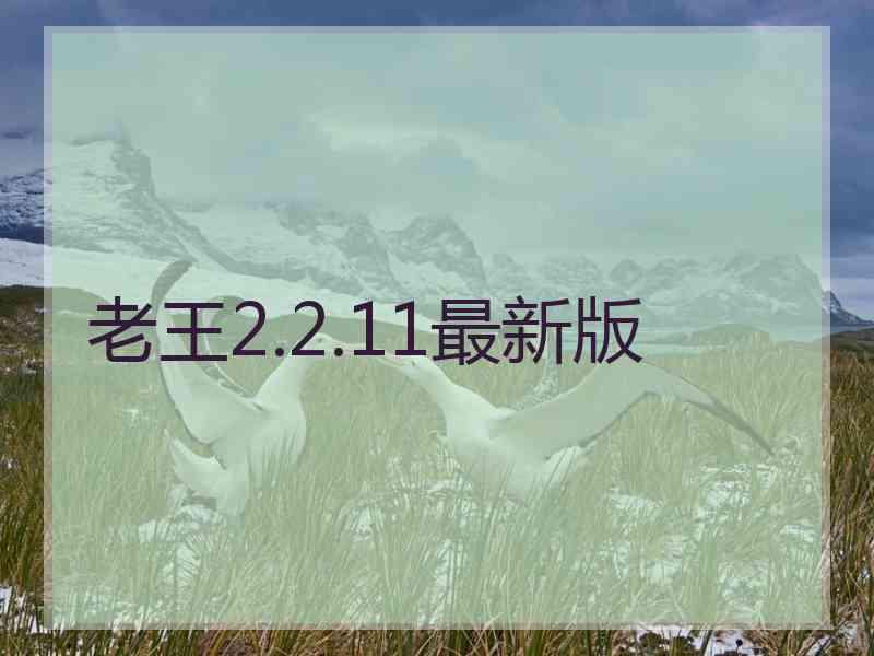 老王2.2.11最新版