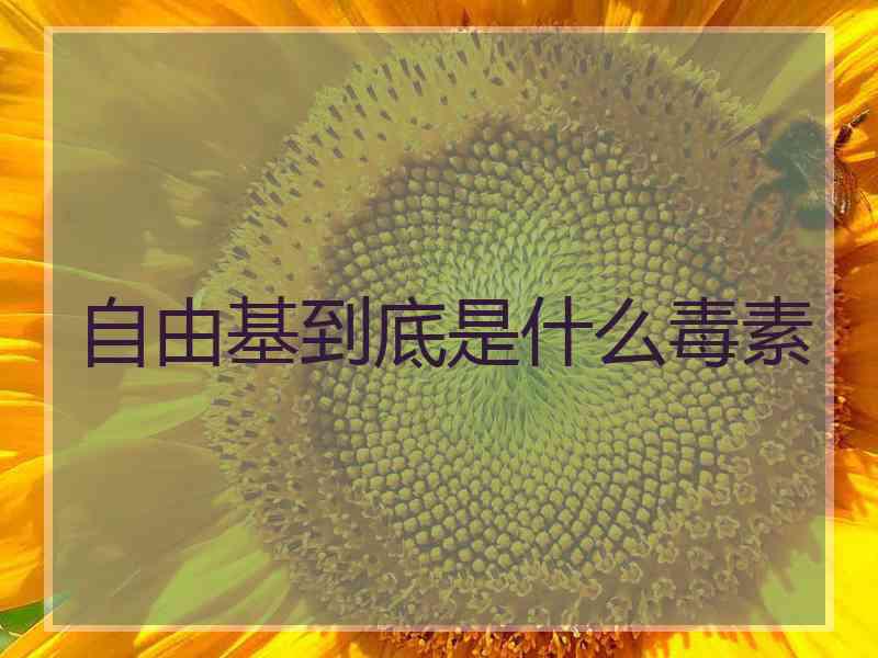 自由基到底是什么毒素