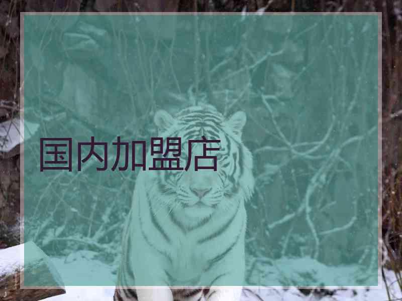 国内加盟店