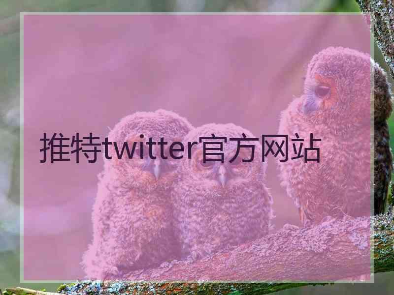推特twitter官方网站