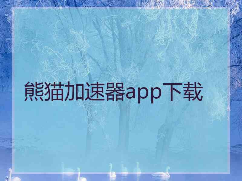熊猫加速器app下载