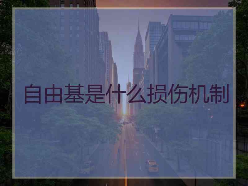 自由基是什么损伤机制