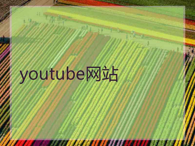 youtube网站