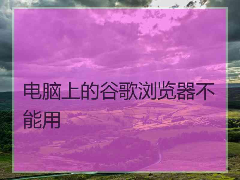 电脑上的谷歌浏览器不能用