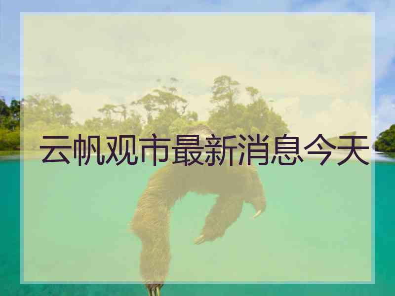 云帆观市最新消息今天