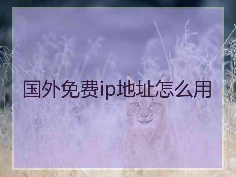 国外免费ip地址怎么用