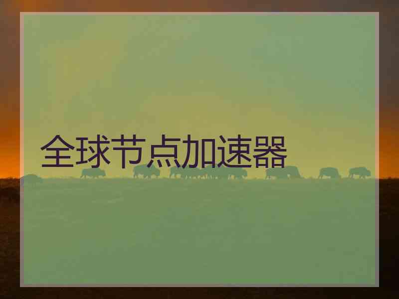 全球节点加速器