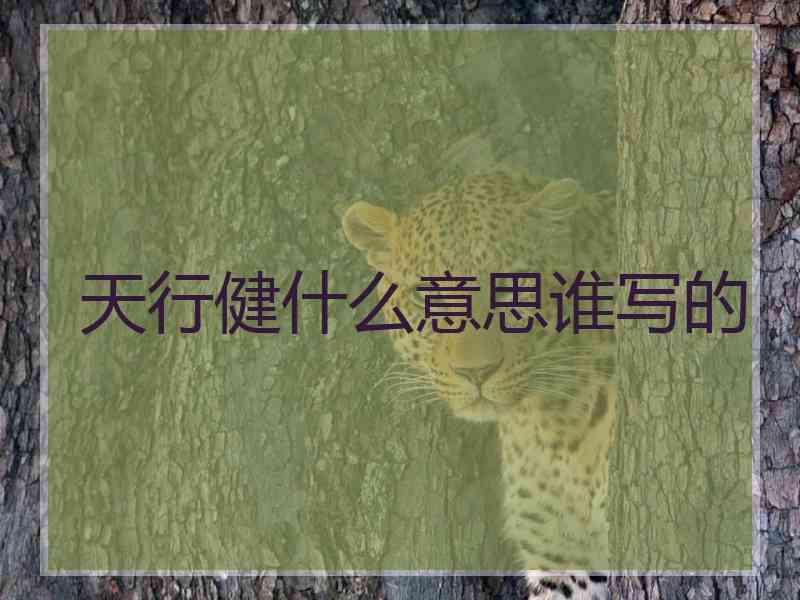 天行健什么意思谁写的