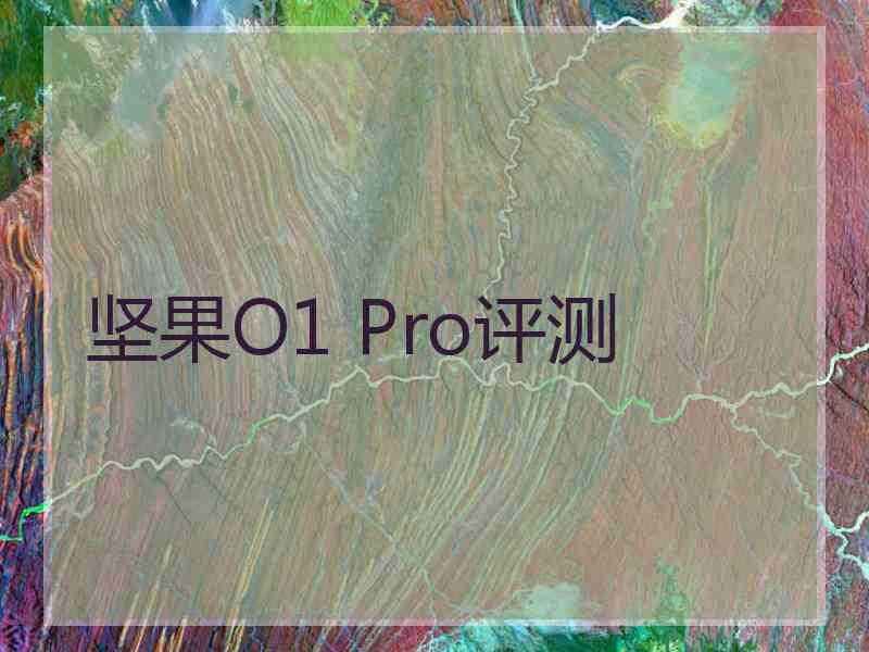 坚果O1 Pro评测