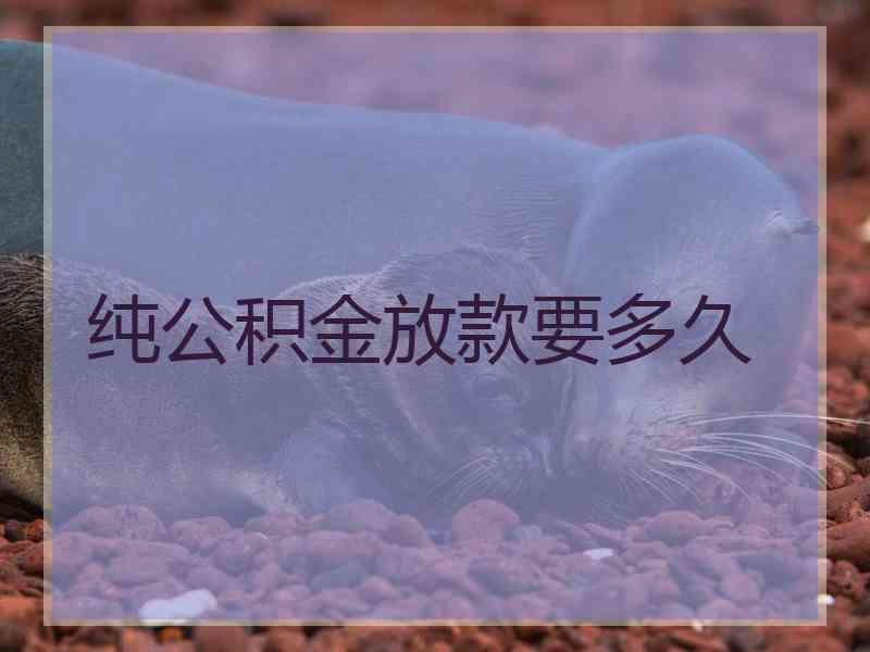 纯公积金放款要多久
