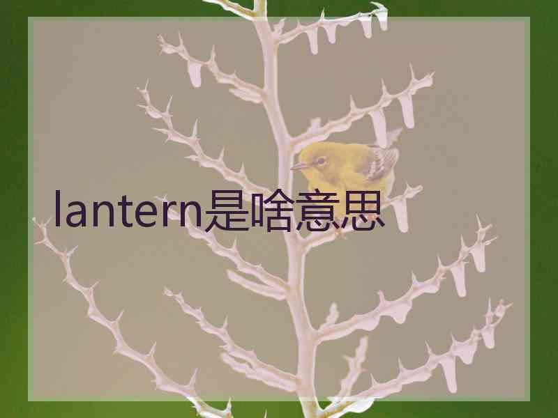 lantern是啥意思