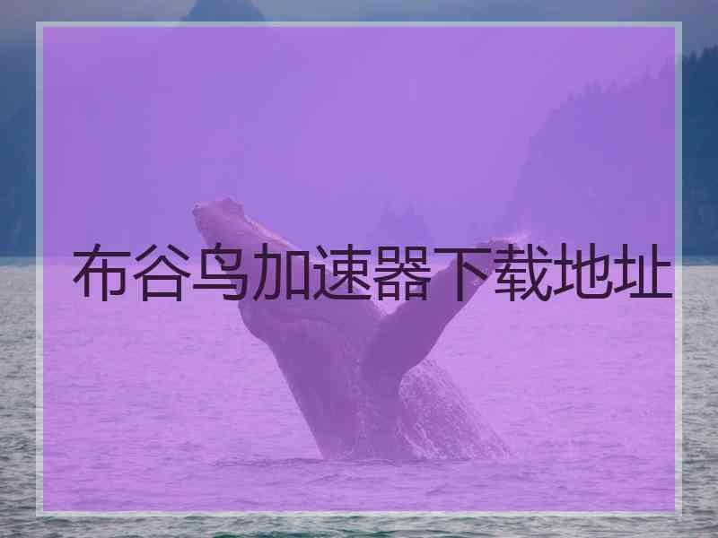 布谷鸟加速器下载地址