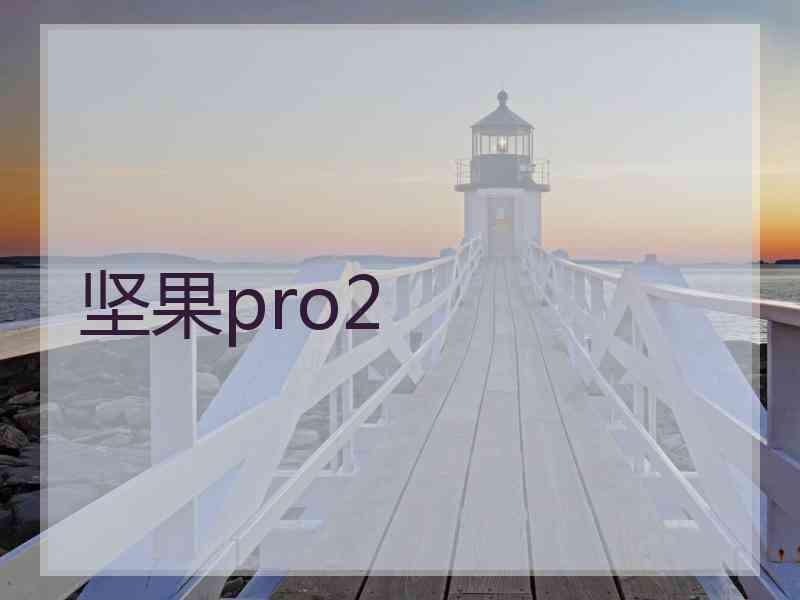 坚果pro2