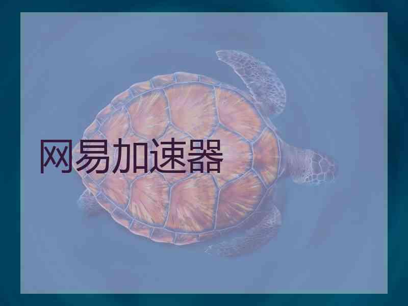 网易加速器