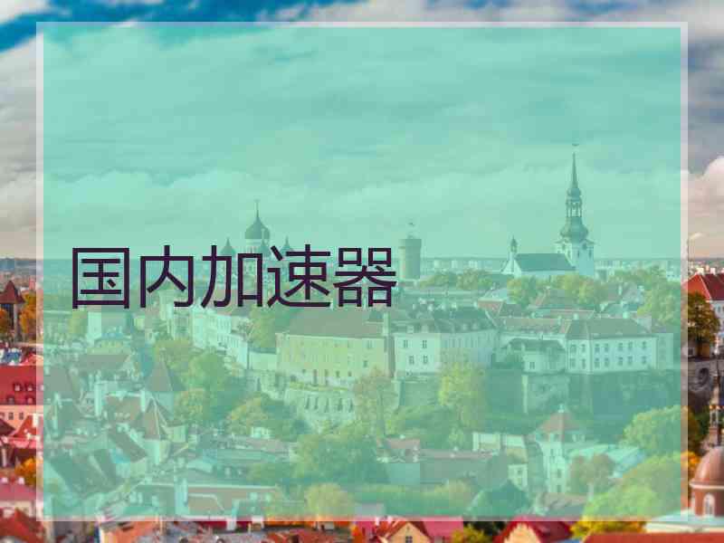 国内加速器