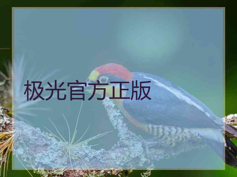 极光官方正版