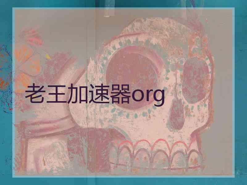 老王加速器org