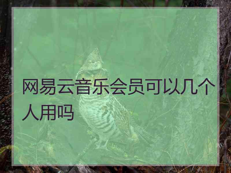 网易云音乐会员可以几个人用吗