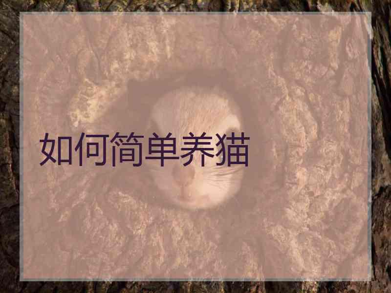 如何简单养猫