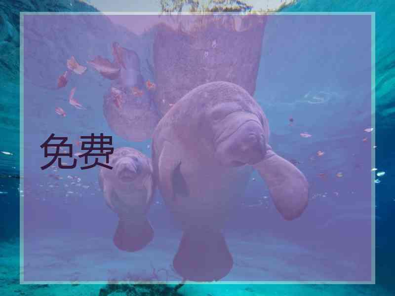 免费