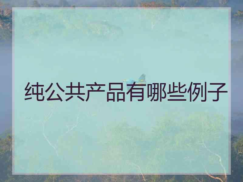 纯公共产品有哪些例子