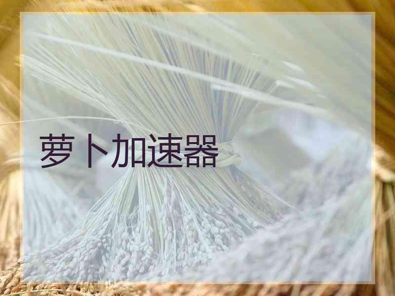 萝卜加速器