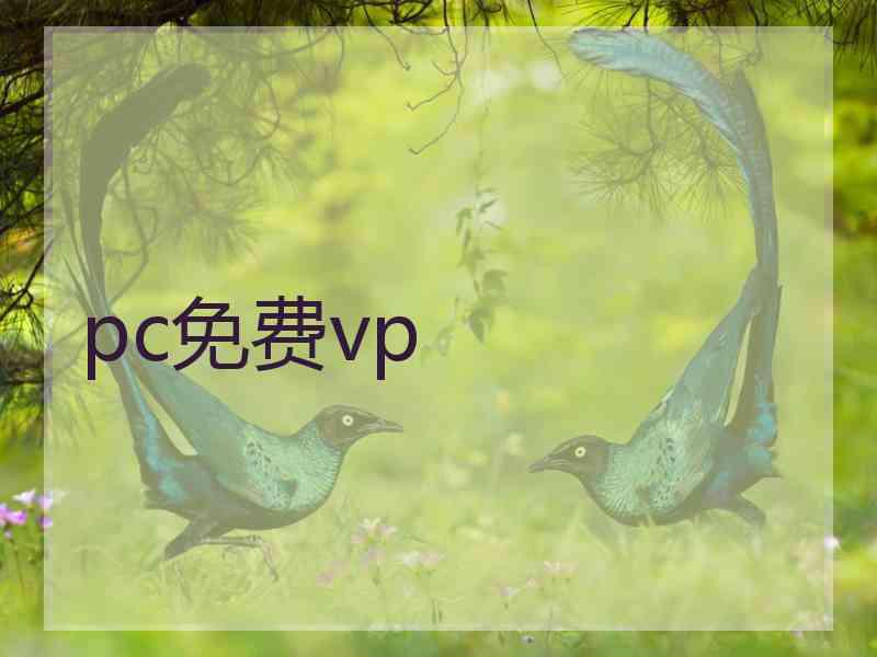 pc免费vp